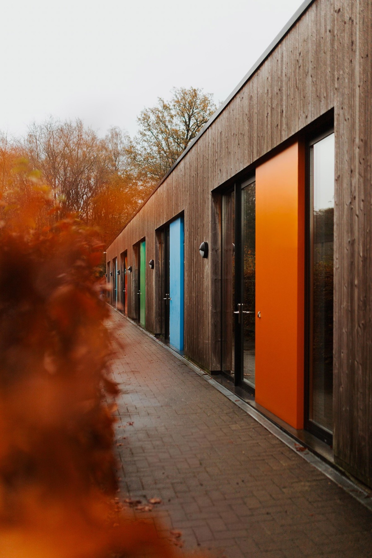 Een rij moderne houten gebouwen met kleurrijke deuren in oranje, blauw, groen en zwart, omringd door herfstbladeren.