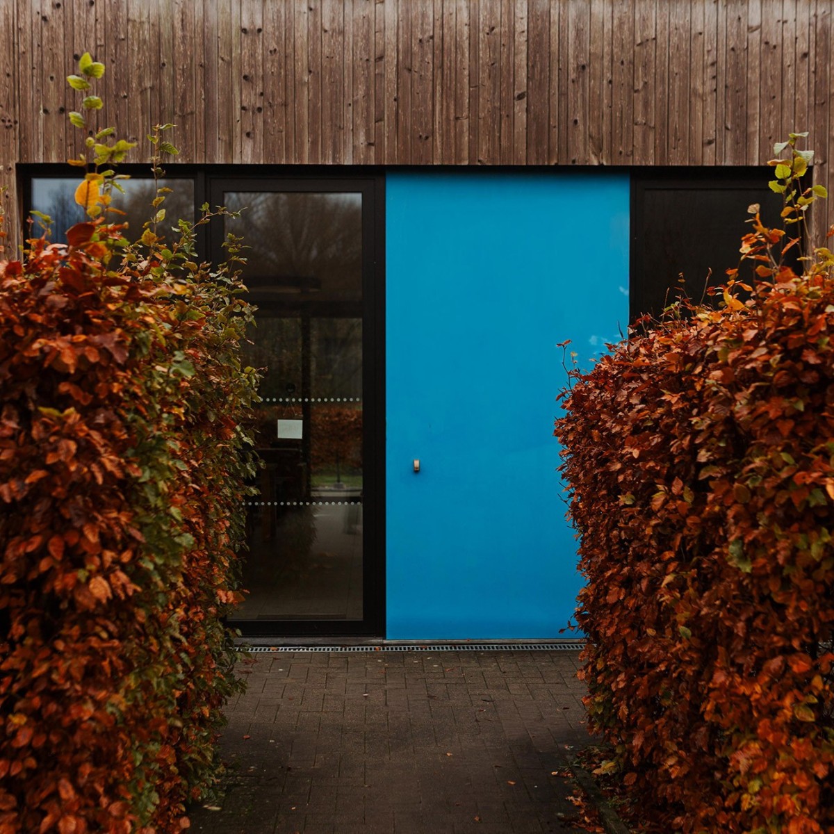 Een modern gebouw met een blauwe muur en een grote glazen deur, omringd door twee groene en oranje heesters.