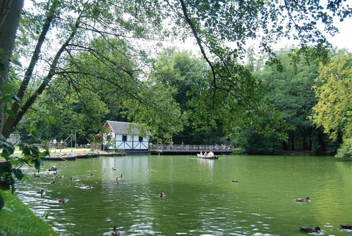 Een rustig park met een groen meer, een wit huisje aan de oever, mensen op een houten steiger en eenden die in het water zwemmen.