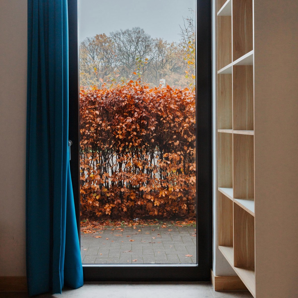 Gezichtspunt op een raam met een donkere lijst, omgeven door een blauwe gordijn, met een uitzicht op een herfstachtige heg vol oranje en bruine bladeren. Aan de rechterkant is een houten boekenkast zichtbaar.