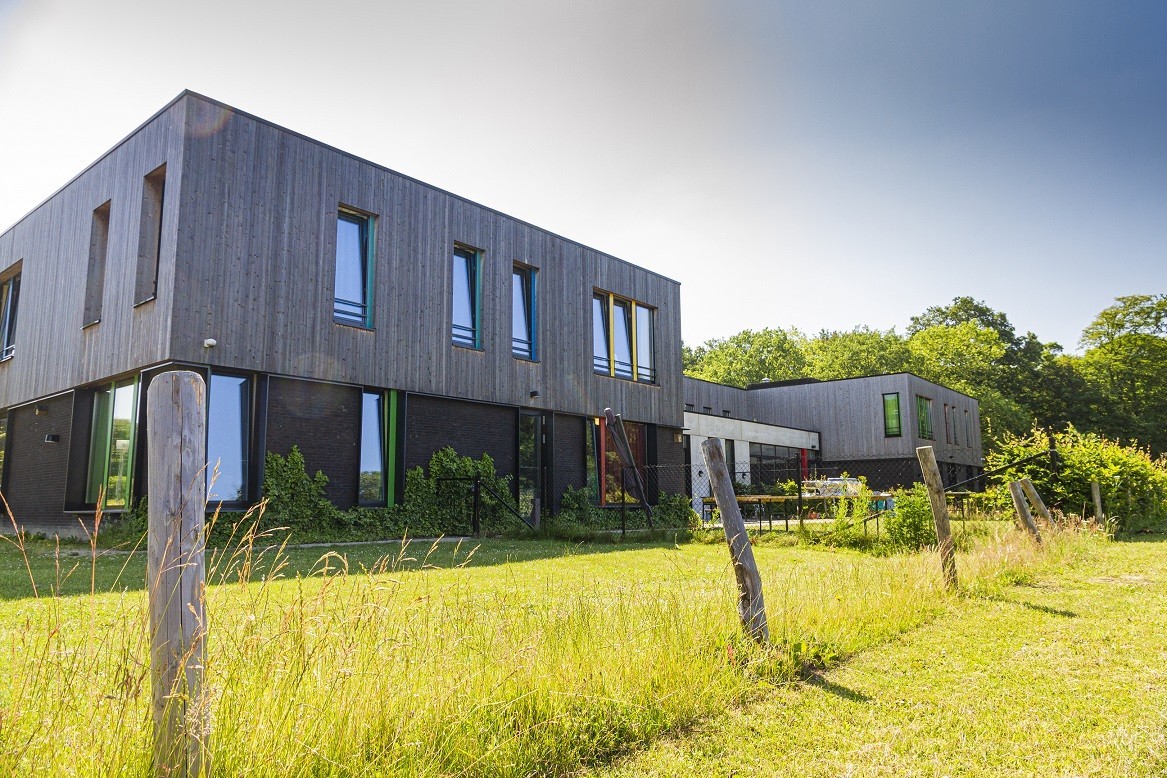 Moderne houten woningen met grote ramen, omgeven door gras en struiken.