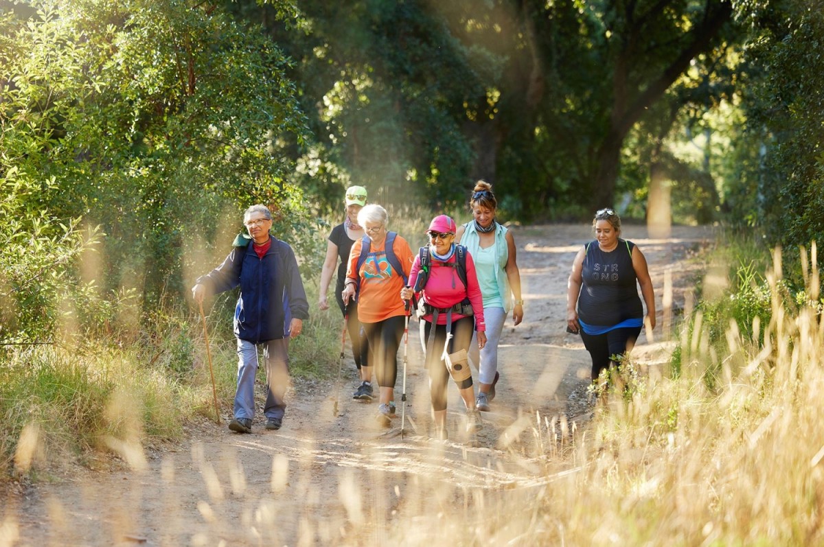 Groep vrouwen aan het wandelen op een bospad, omringd door groen en zonlicht.