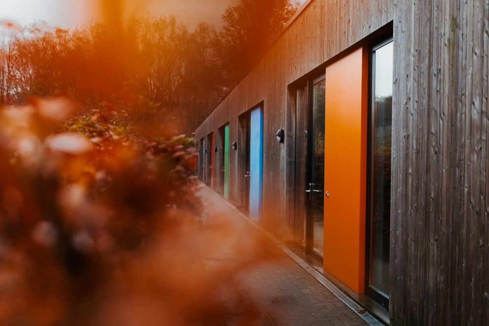 Een reeks deuren in verschillende kleuren langs een houten wand, met een onscherpe oranje gloed op de voorgrond en een bosachtige achtergrond.