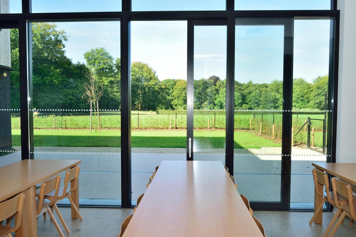 Een moderne ruimte met houten tafels en stoelen, uitzicht op een groene tuin en bomen door grote glazen schuifdeuren.